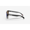 Oakley FROGSKINS 0OO9013 Hafjell Sport 3