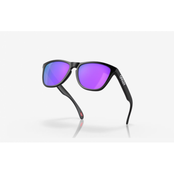 Oakley FROGSKINS 0OO9013 Hafjell Sport 4