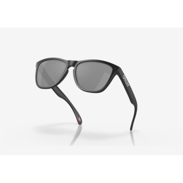 Oakley FROGSKINS 0OO9013 Hafjell Sport 4