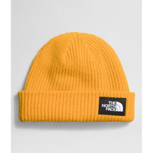 The North Face SALTY LINED BEANIE NF0A3FJW56P Hafjell Sport 1