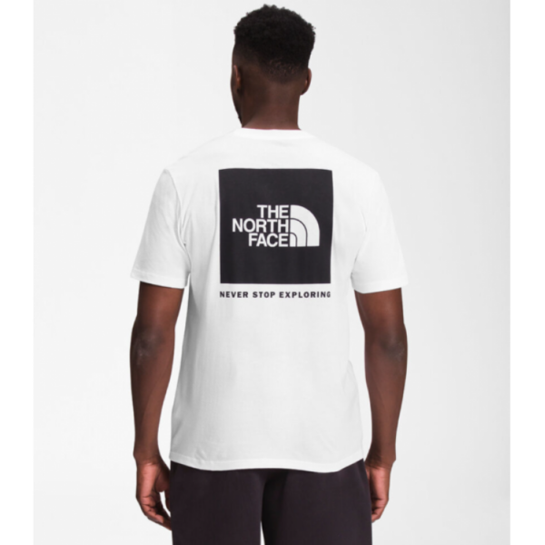 The North Face M SS BOX NSE TEE NF0A87NPFN4 Hafjell Sport 1