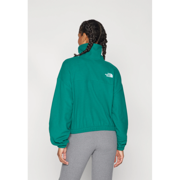 The North Face W 100 GLACIER HALF ZIP FLEECE 0A89J9 Hafjell Sport 2