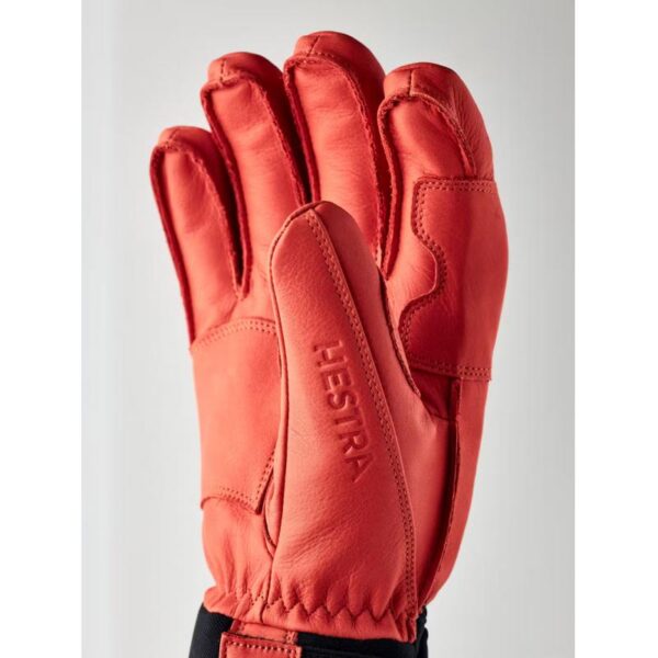 Hestra Fall Line - 5 Finger 3000780 Hafjell Sport 6