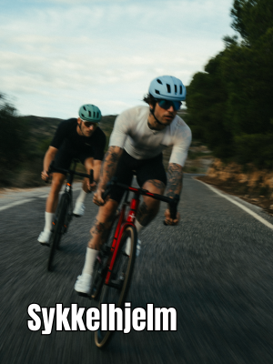 Landeveishjelm
